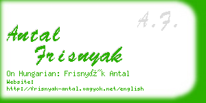 antal frisnyak business card